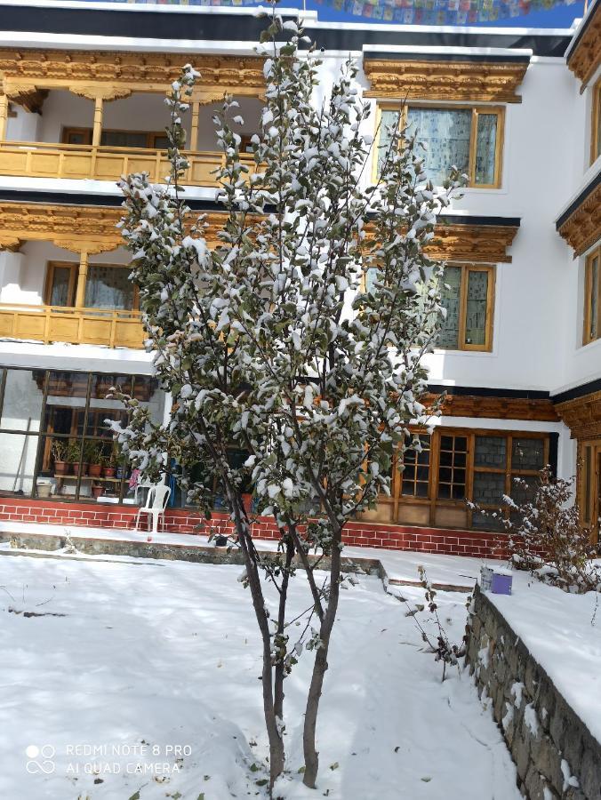Rock Castle Residency Hotel Leh Ngoại thất bức ảnh
