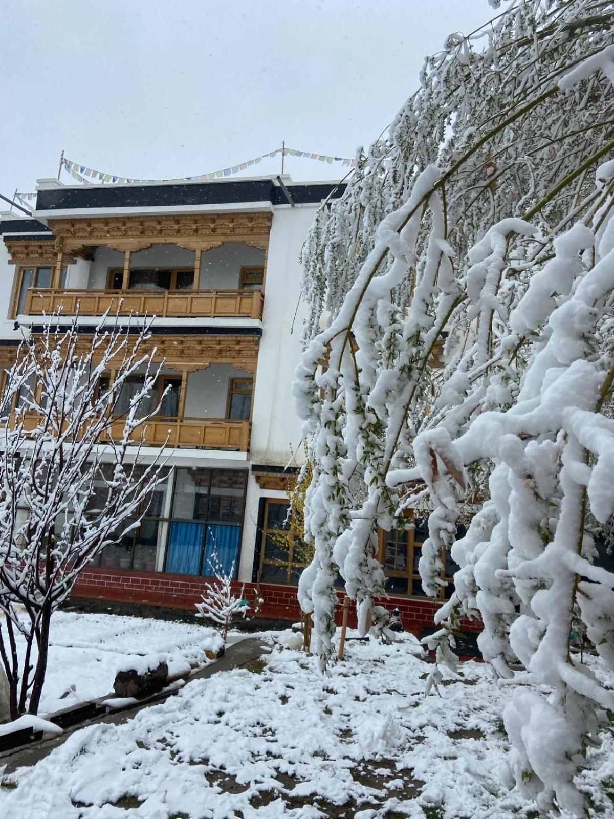 Rock Castle Residency Hotel Leh Ngoại thất bức ảnh